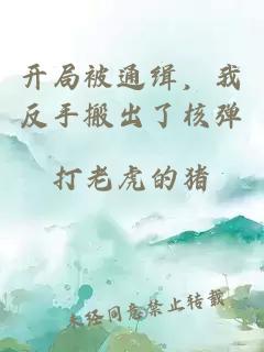 開(kāi)局被通緝，我反手搬出了核彈